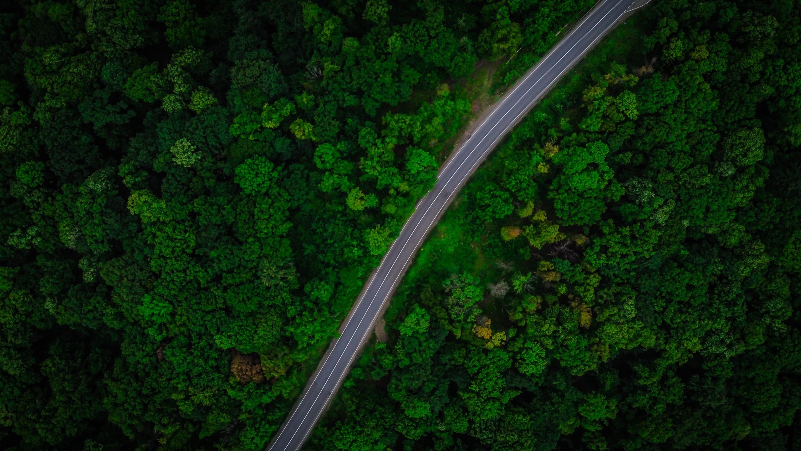 Aerial view of a green forest with a highway cutting diagonally through it.